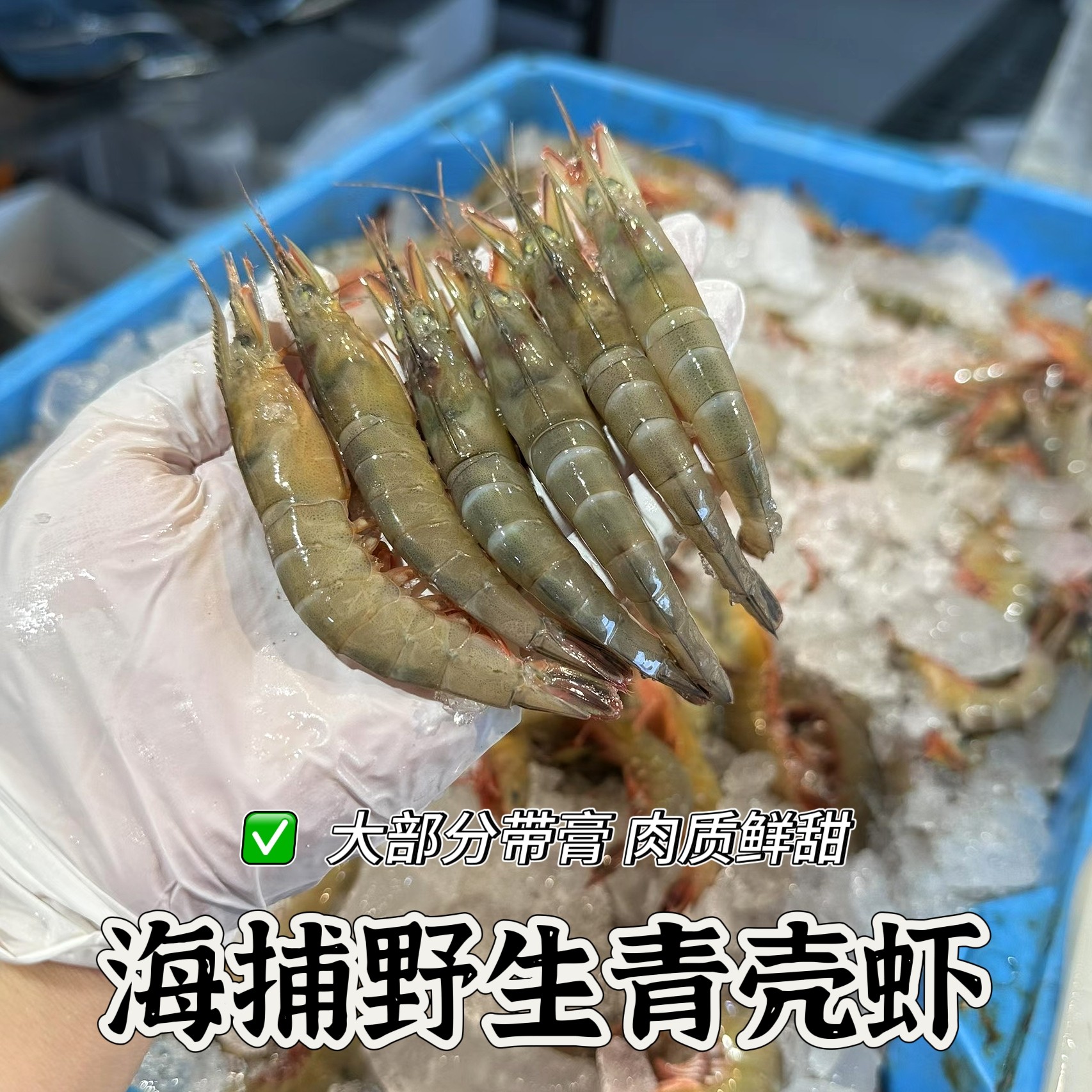 舟山海鲜大虾鲜活冷冻海鲜水产海捕野生青壳滑皮虾条虾剑虾硬壳虾