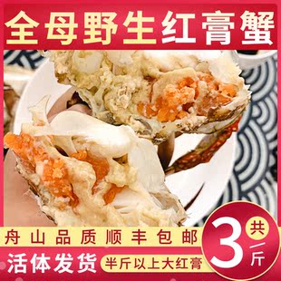 【共3斤装】舟山野生大红膏蟹梭子蟹飞蟹鲜活充氧打包包邮