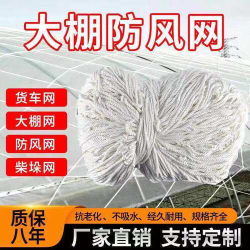 大棚防风网防护网尼龙网货物种植养殖网大孔压膜绳网挡风网大棚网