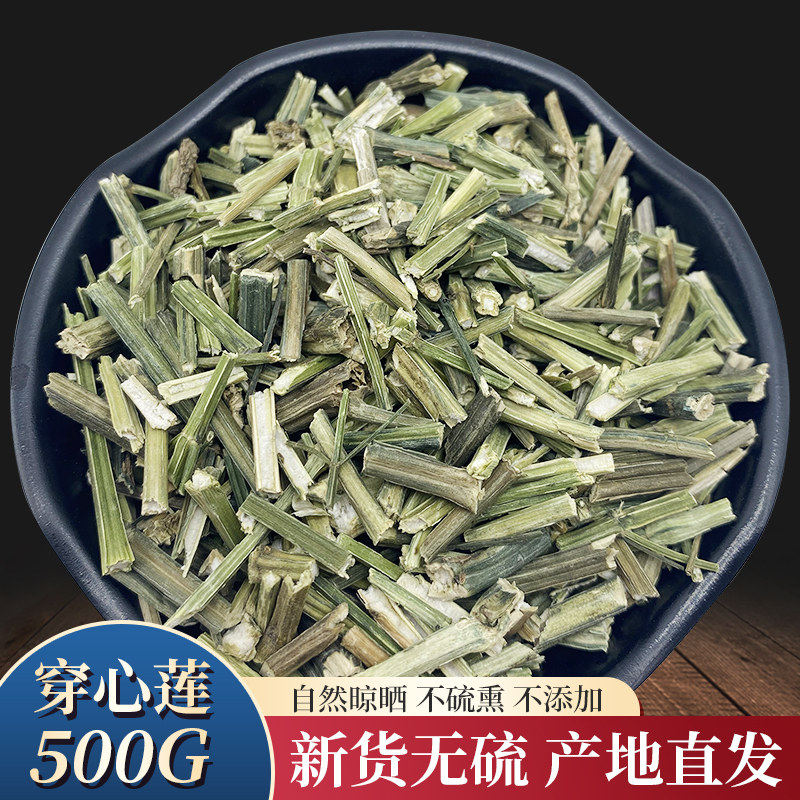 中药材穿心莲500克 穿心莲茶穿心连一见喜榄核莲苦胆草金香草