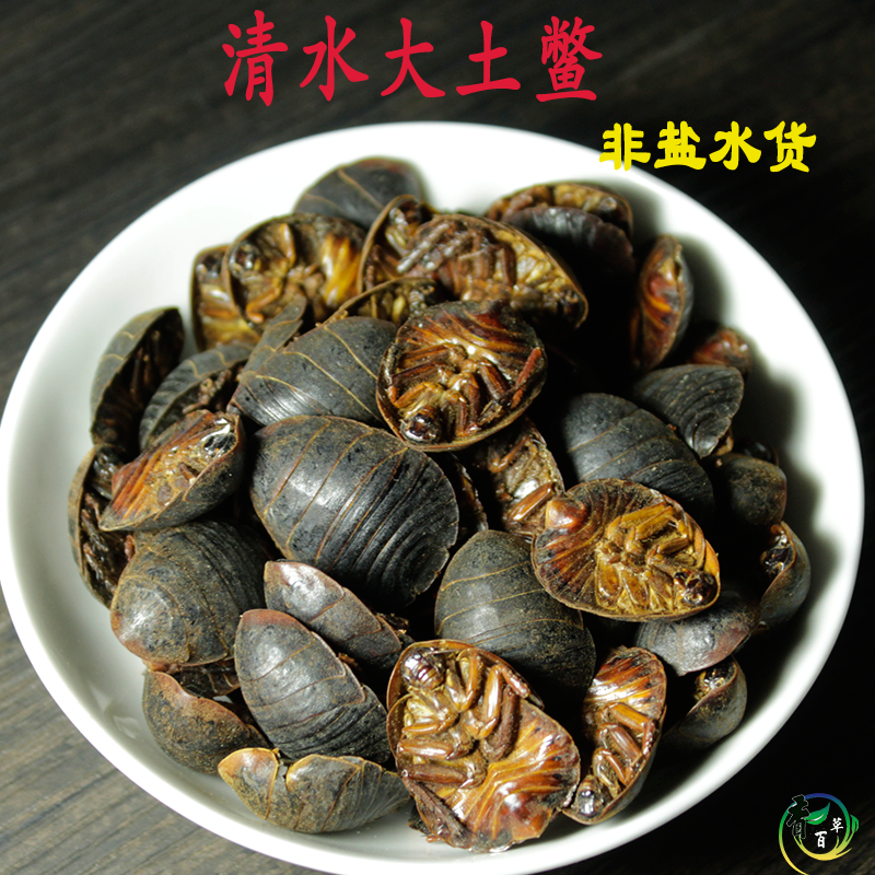 中药材土元500克地乌龟节节虫臭虫蛰虫土鳖虫 清水土元干磨土元粉