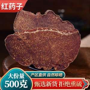 中药材红药子500克 红要子 金荞仁 赤药 朱砂莲 血三七 红孩儿
