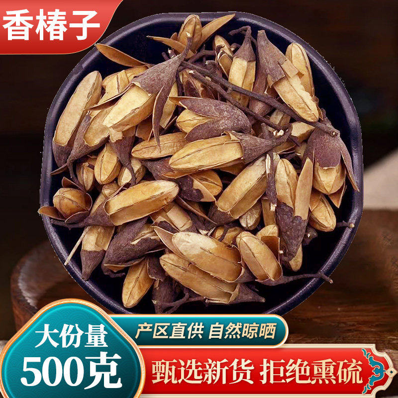 中药材 天然精选香椿子 香玲子 香椿子 椿树子 金钟子500克 包邮
