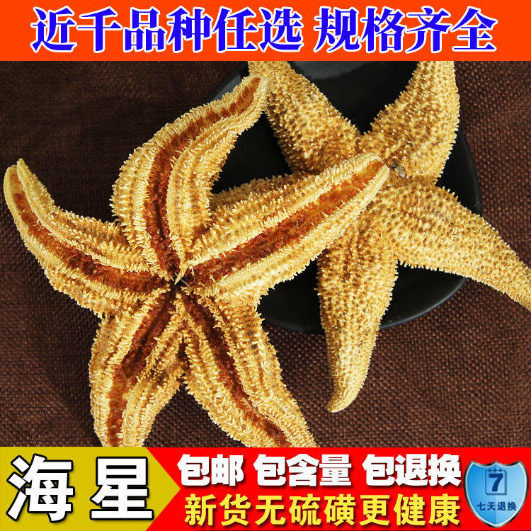 中药材刺棘海星海五星 海盘车海星干货500g包邮煲汤泡酒料