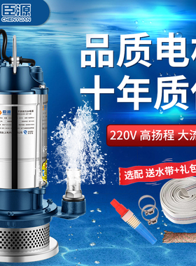 臣源不锈钢潜水泵家用小型清污水泵农用灌溉220V高扬程抽水大流量
