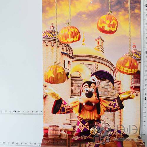 日本正版现货]东京迪士尼 Disney resort park fan club 挂历年历