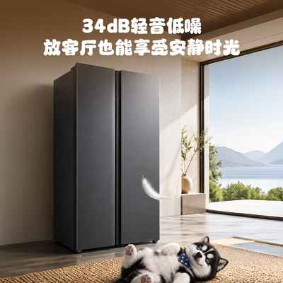 TCL645L对开大容量抗菌双循环