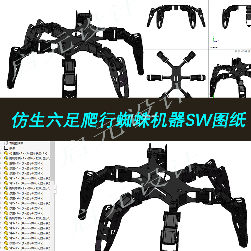 仿生六足爬行蜘蛛机器人3d图纸 六足舵机爬行机器人sw图纸3D模型