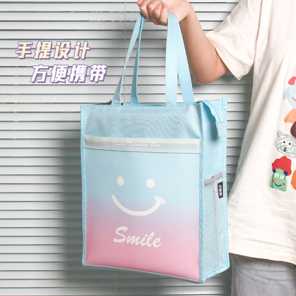学生立体手提拎书袋课本作业补习包A4文件袋拉链袋产检资料收纳袋