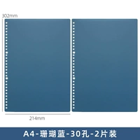 Розовая красная крышка A4 Coral Blue 2 таблетки