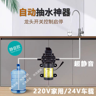 厨下桶装水电动抽水泵饮用水纯净水抽水器吸水器静音泵上水泵