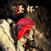 道文创刘伯温故居联名圣杯茭杯圣杯卦圣卦阴阳卦杯神机妙算