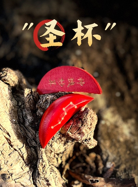 圣杯道文创刘伯温北斗七星