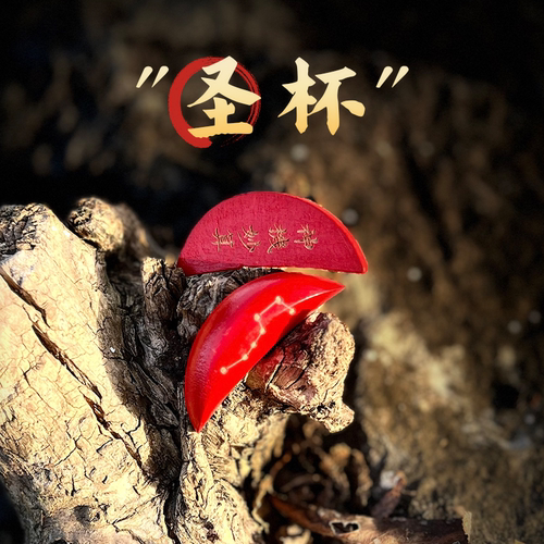圣杯道文创刘伯温北斗七星