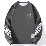 71946-P45卫衣男2024新款重磅宽松衣服薄款冬季圆领春秋款，男装卫衣，电商D310B