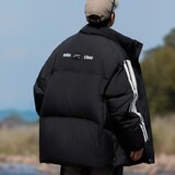 79008-特P248立领羽绒服男潮牌时尚加厚白鸭绒保暖外套情侣款港风，男装羽绒服，电商D310B