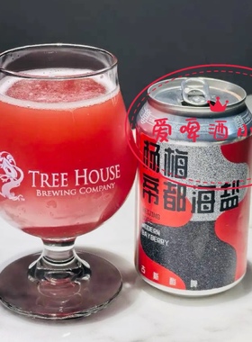 国产精酿Nbeer 牛啤堂帝都海盐杨梅味 啤酒GOSE古斯330ml听装包邮