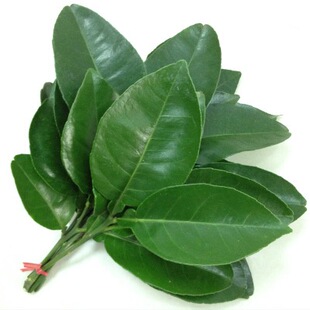 柚子叶,真叶柚子去晦气露思同款