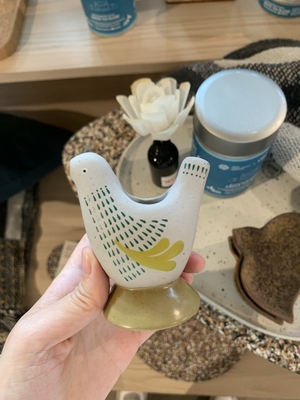 英语角（月会员）