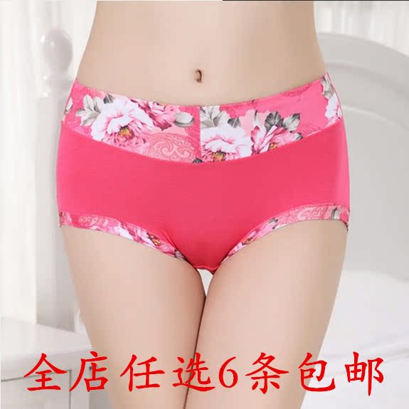 Slip LS020 - Ref 655623 Image 28