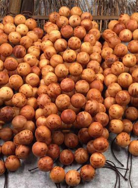 崖柏手串四川凉山料黄金底色带留疤高抛光佛珠手工木质工艺品