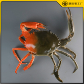 大号仿真螃蟹模型大闸蟹自助餐厅摆件海鲜模型水产雕塑艺术品