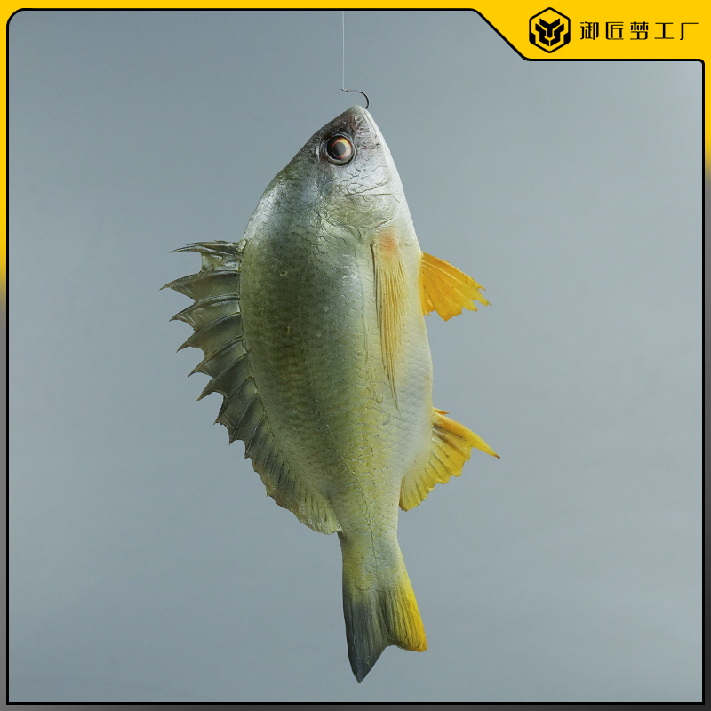 黄翅鱼模型黄鳍鲷仿真直播摆件