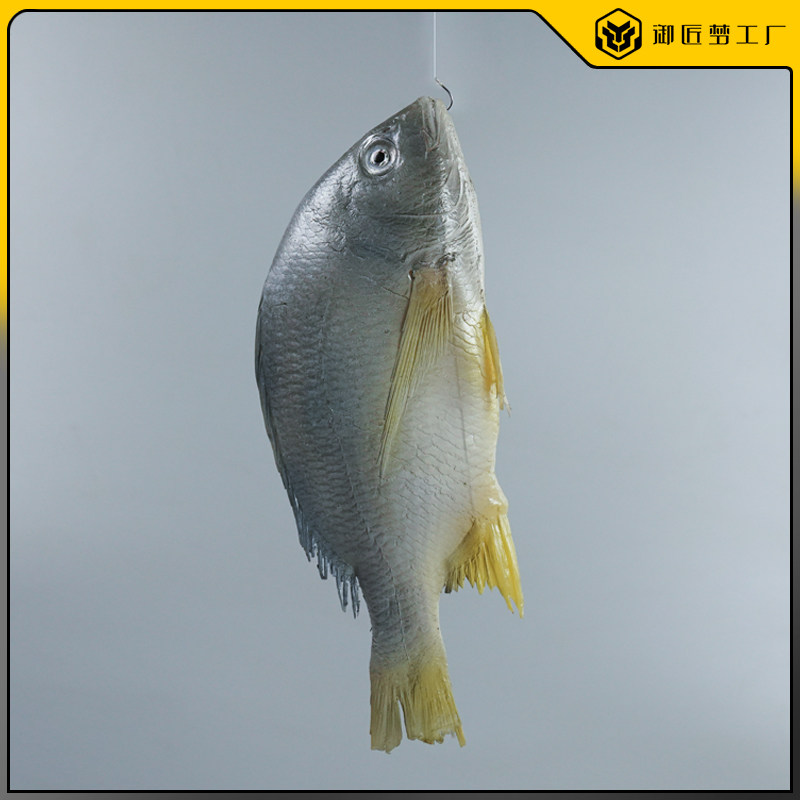 仿真黄翅鱼模型假海鲜水产淡水鱼深海鱼模具道具装饰摆件海洋生物
