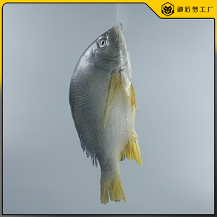 饰摆件海洋生物 仿真黄翅鱼模型假海鲜水产淡水鱼深海鱼模具道具装