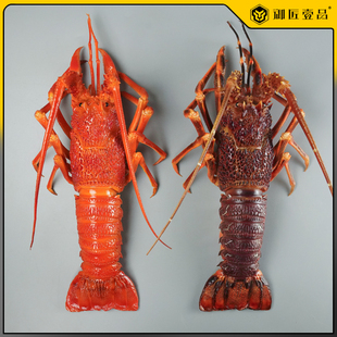 大龙虾假食物样品 高仿真澳洲龙虾模型红澳龙假海鲜水产直播道具