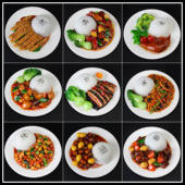 御匠壹品仿真食品模型盖浇饭米饭模型中餐食品模型炒饭假菜盖饭