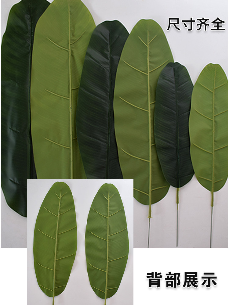 仿真芭蕉叶绿树叶滴水观音叶室内大型绿植绿叶假香蕉叶跳舞龟背竹