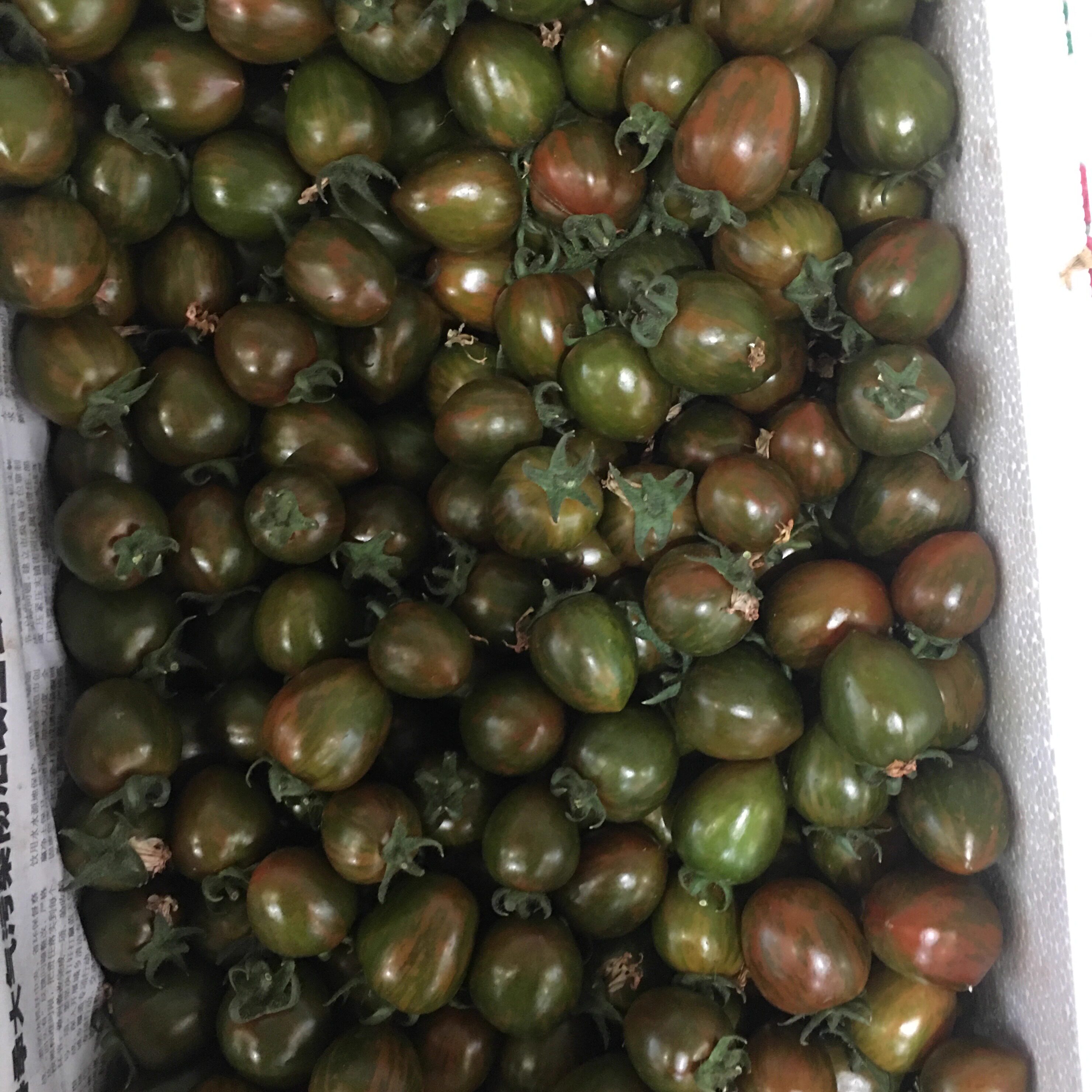 迷彩小番茄 紫色 黑番茄 新鲜水果番茄 500g江浙沪满五件顺丰包邮