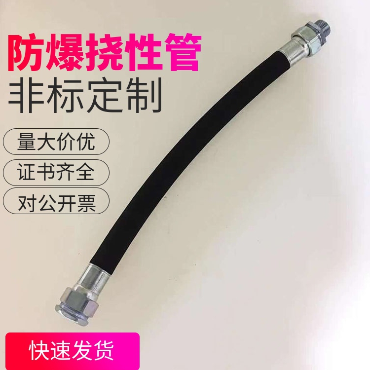 厂家直销BNG防爆挠性连接管