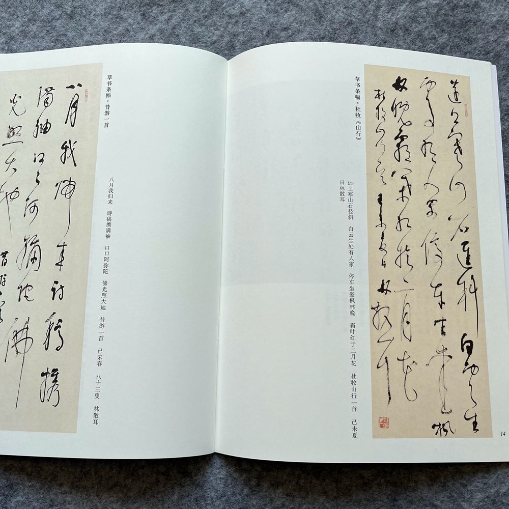 林散之作品楷书隶书行书篆书书法爱好学生成人书法临摹毛笔习字帖