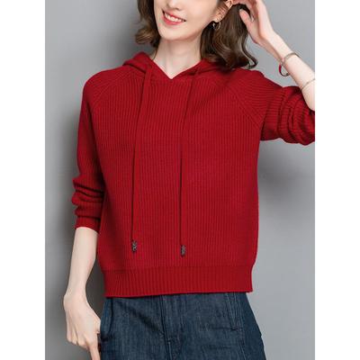 红色连帽针织衫妇女运动衫秋冬新风格宽松和时尚的小连帽短针织衫