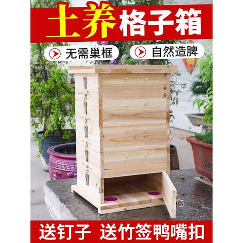 杉木格子箱中蜂加厚木板蜜蜂蜂箱全套老式土养箱懒人养蜂专用蜂桶