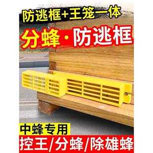 中蜂分蜂收王器防逃框多功能巢门除雄蜂带王笼防逃自动收王控制