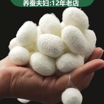 农家100桑蚕所有蚕丝双宫茧