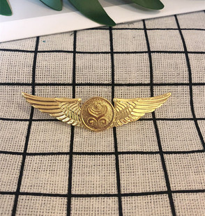 海南航空海航飞行员乘务员徽章航空胸章纪念礼品章
