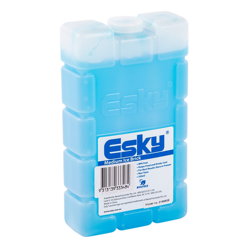 Esky冰砖冰袋保温箱冷藏