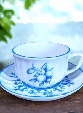 意大利名瓷理查德·基诺里Richard Ginori咖啡杯碟茶杯中古杯复古