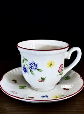 英国Johnson Brothers水果花卉图案欧式美式复古咖啡杯下午茶杯碟