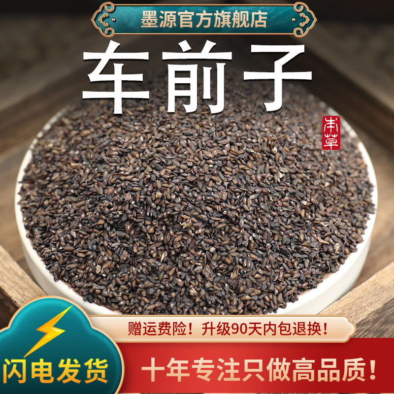 新货车前子粒粒饱满干净中药材