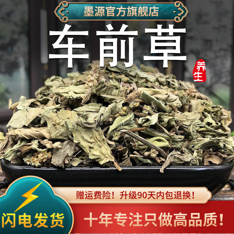 车前草中药材新鲜车前草干中草药非野生泡水喝茶干货可搭土茯苓粉