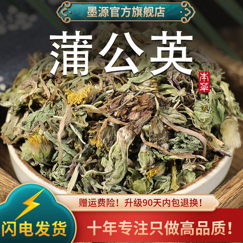 蒲公英中药材正品蒲公英干