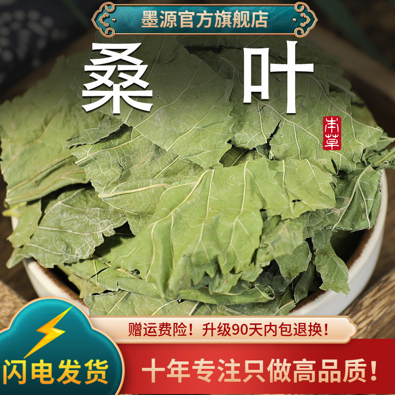 干桑叶茶冷库保鲜手工拣选中药材