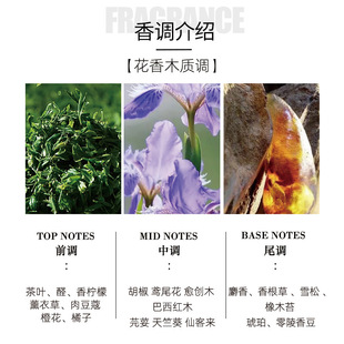 香型茶香女士淡香批发 50ml花香木质调大牌同款