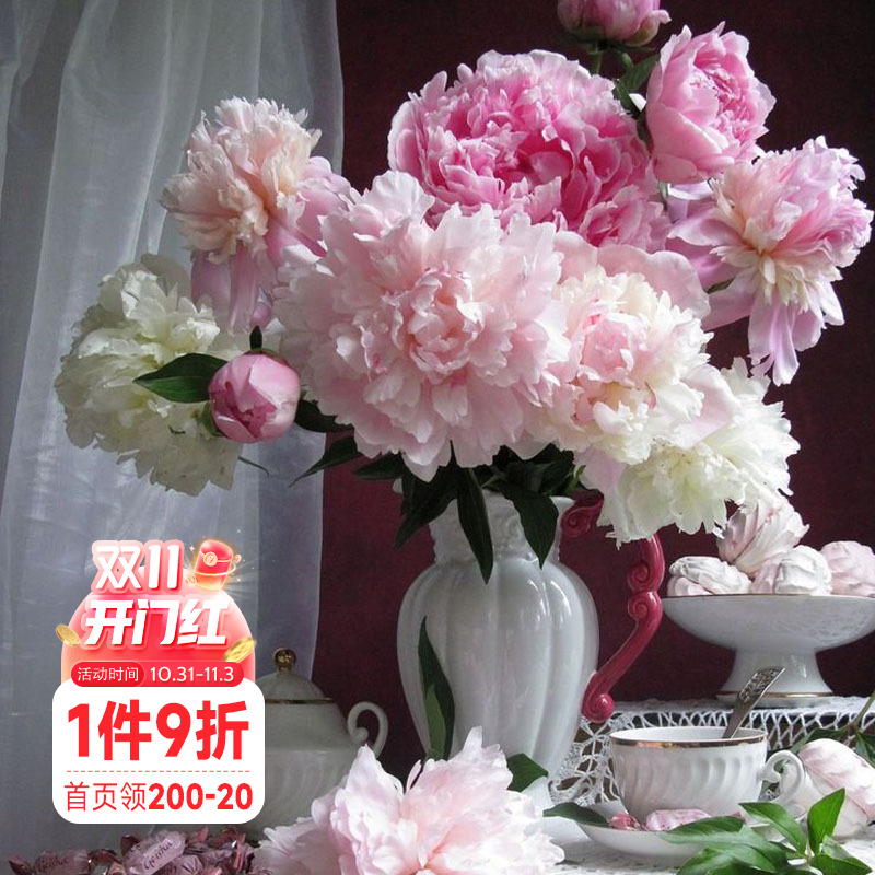 海蒂的花园成都总店芍药花苗