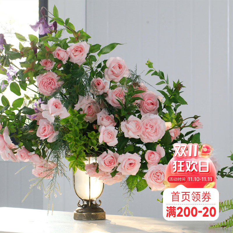 海蒂的花园娜荷玛浓香爬藤月季